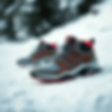 Stylish Waterproof Winter Sports Shoes Stylish waterproof winter sports shoes on a snowy surface